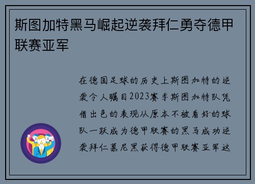 斯图加特黑马崛起逆袭拜仁勇夺德甲联赛亚军